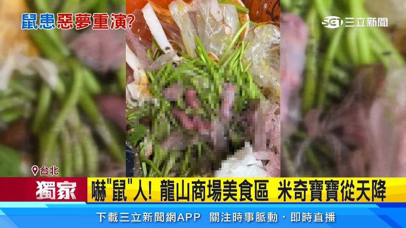 還掃到一窩幼鼠