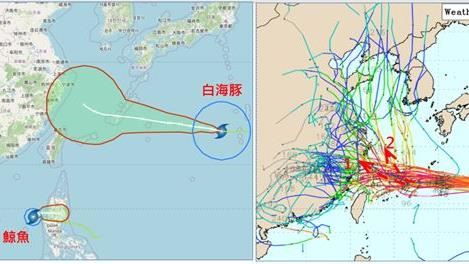 白海豚恐週五海警!各國路徑曝揭搖滾時段