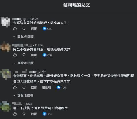 蔡阿嘎留言區被罵爆。(圖/翻攝自臉書)
