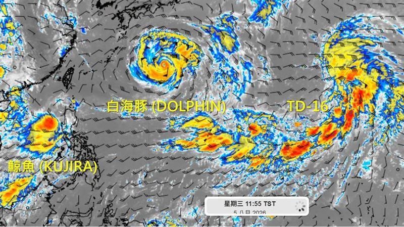 白海豚各國路徑西修!專家:海警機率大增
