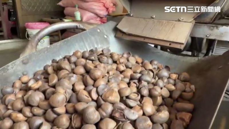 阿里山苦茶油聞名　店家秀製油過程