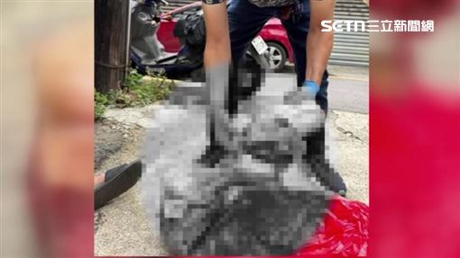 越籍男涉賣狗肉！9.1公斤犬屍掃出晶片