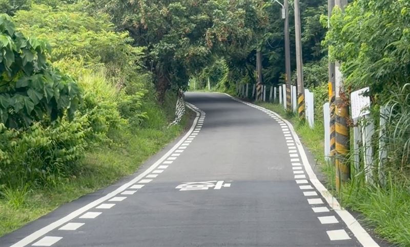 八卦山台鳳後山常有水鹿、石虎出沒,晚上出入車速需放慢。(圖/翻攝畫面)