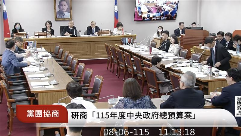 民主基金會執行長廖達琪證實,鄭麗文訪中480萬申請並未撤案。(圖/翻攝自國會頻道)