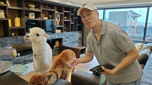 淡出16年拒復出拍戲　姜厚任轟中國劇組