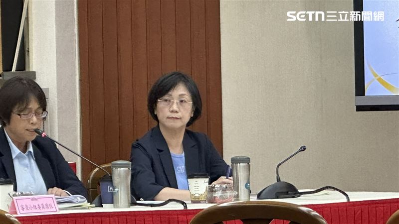 翁曉玲出席「行使監察院院長、副院長及監察委員同意權案」公聽會(圖/記者詹宜庭攝影)