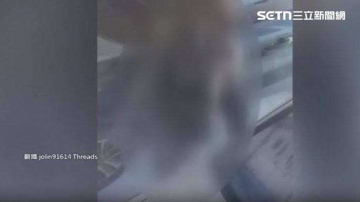 有一名男子穿著清涼在車旁來回走動,還大字趴在車頭上