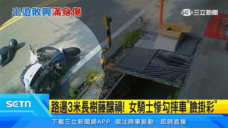 事故地點,道路右側不僅垂落大片藤蔓,地面上還有零星樹枝,機車只要稍微靠右,靠近白線行駛,就很容易勾到或捲到