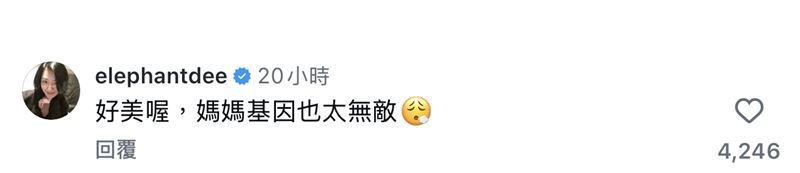 小S親自留言。(圖/翻攝自IG)