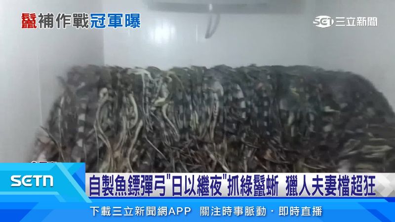 獵人夫妻檔展示冰箱滿滿的綠鬣蜥