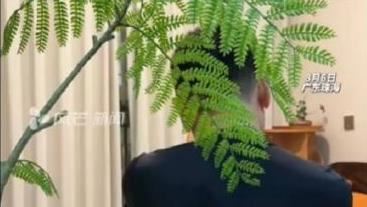富豪遭大義滅親！偷生子竟盜鄰居身份落戶