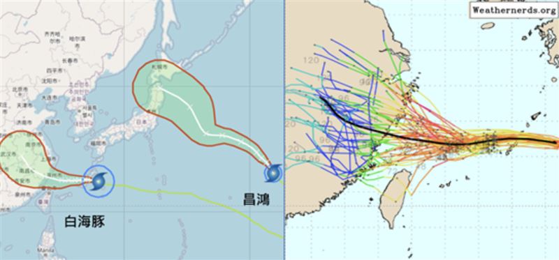 左圖:最新氣象署「路徑潛勢預測圖」顯示,第13號中颱「白海豚」今(7)日通過琉球附近,明(8)日進入東海南部,移速減慢、「不確定性(紅框)」逐漸增大,下週一(10日)晨登陸浙江。第15號輕颱「昌鴻」,向西北進行,朝日本北部前進。右圖:最新(6日20時)歐洲模式系集模擬顯示,明日進入東海南部後,即模擬向北迴轉的路徑減少,而模擬偏西接近大陸,才逐漸迴轉的路徑增加。(圖/翻攝自洩天機教室官網)