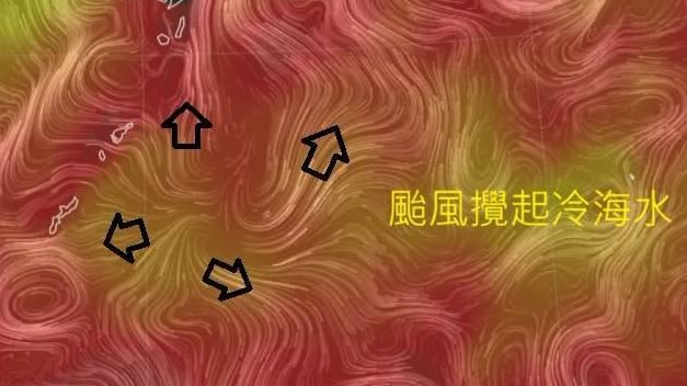 白海豚狂攪拖出條狀冷水帶!鄭明典揭密