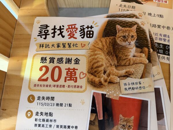 橘貓「阿咪」至今已失蹤138天,讓飼主陳小姐焦急萬分。(圖/翻攝畫面)