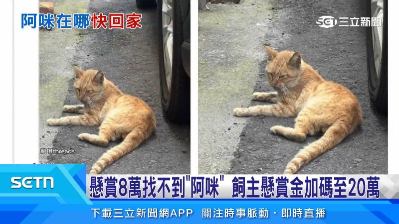 不少網友也熱心提供線索