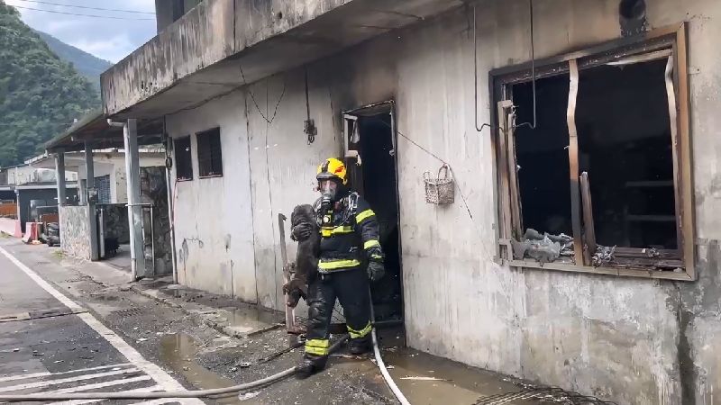 南澳住宅火警2童自行逃生　消防救受困狗
