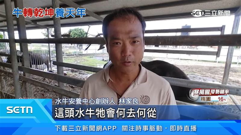 水牛安養中心創辦人林家良出面說明