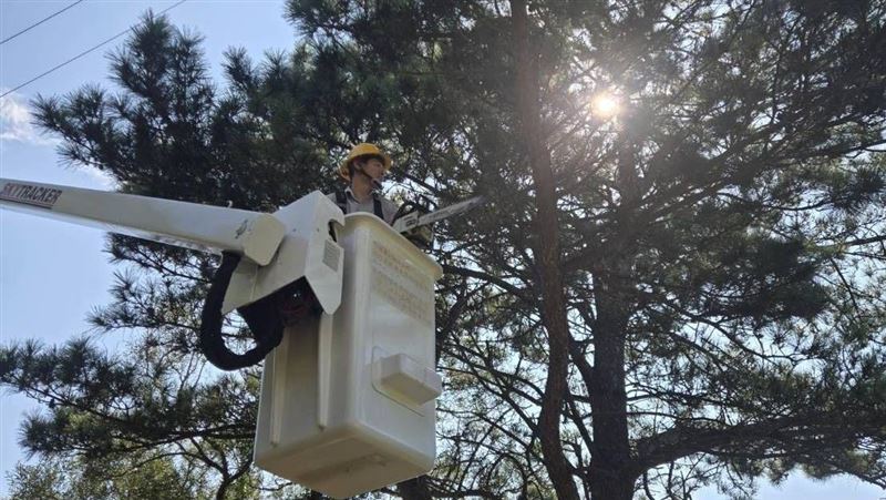 白海豚颱風直撲馬祖 !台電啟動防颱整備