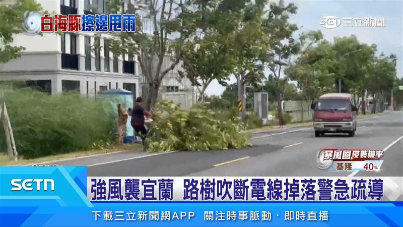 白海豚帶來強勁風勢,宜蘭三星路段一早就有路樹被攔腰吹斷