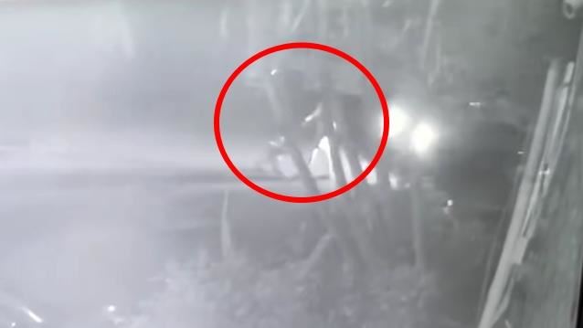 阿公帶孫子外出散步,遭小貨車從後方追撞,阿公遭捲入車底傷重死亡。(圖/koochiiiii授權提供)