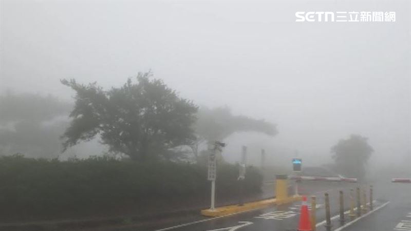 攪局父親節!中颱白海豚挾狂風暴雨炸雙北