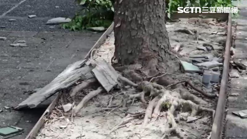 白海豚發威！宜蘭強風磁磚砸、樹倒