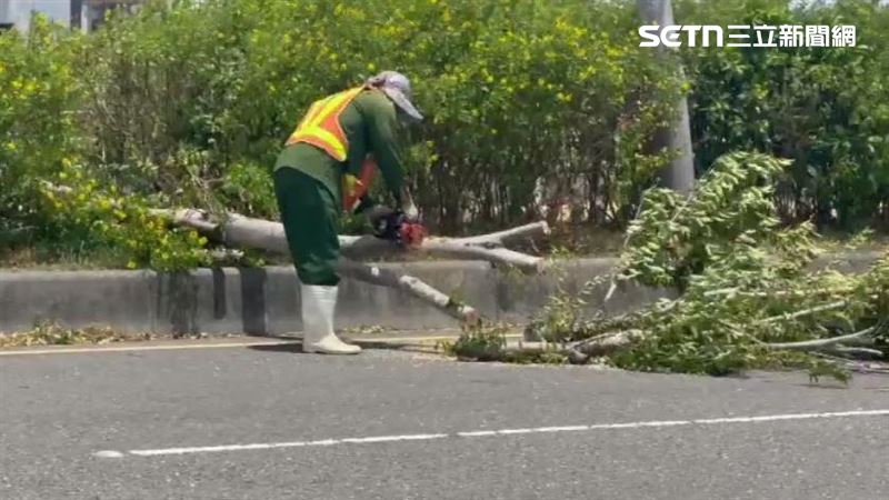 狂風吹倒路樹