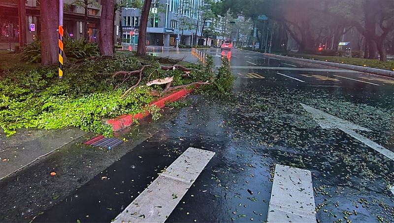 台北市大安區仁愛路三段與建國南路一段路口,今(9日)清晨傳出有路樹倒塌情形。(圖/翻攝畫面)