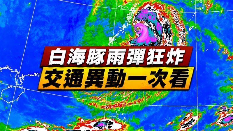 新/白海豚雨彈猛炸 交通異動一次看