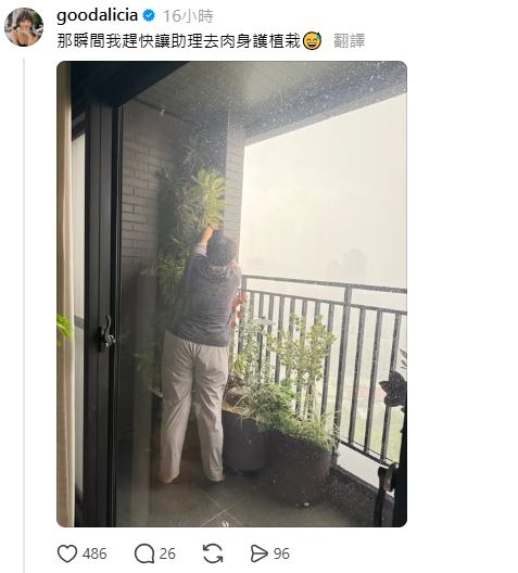 愛莉莎莎讓助理冒著風雨肉身護植栽。（圖／翻攝自Threads @goodalicia）