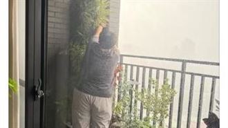 助理颱風天「肉身護植栽」 愛莉莎莎遭轟