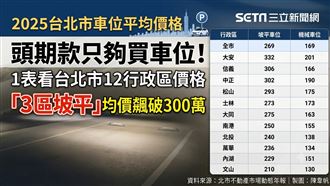 頭期款夠買坡平車位？1表看台北全市價格