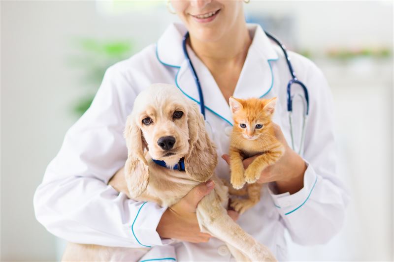 幼齡時期是奠定貓犬免疫與生理發育的黃金關鍵期,每一個決策都深遠影響著牠們未來的生命品質。(圖/品牌業者提供)