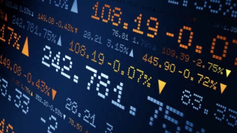 禾伸堂、南電出關日 處置股新規風險曝