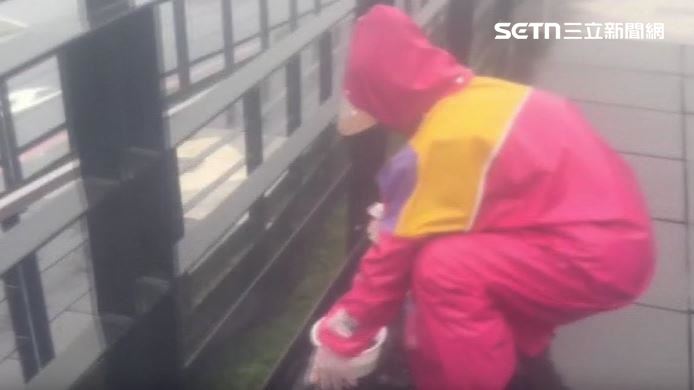 陽明山的外包商趁著下雨前來上班，洗刷欄杆