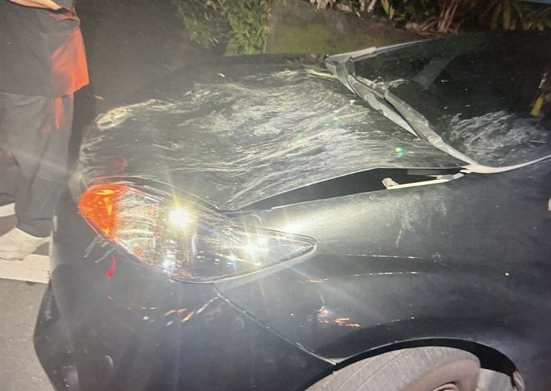 鴕鳥撞擊轎車,造成引擎蓋變形。(圖/翻攝畫面)