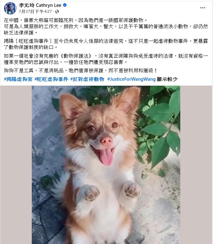 打死3幼犬還燒母狗!大馬鋼琴女神開轟揭陽虐狗案 霸氣反擊「蹭熱度」