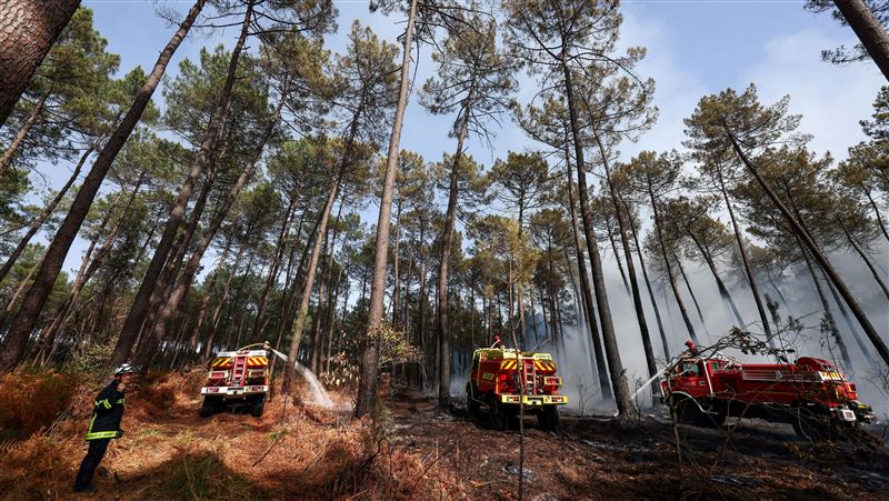 法國南部野火肆虐！150公頃林地秒遭吞噬