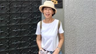 又發文蹭陳幸妤　陳佩琪：他們說我真丟臉
