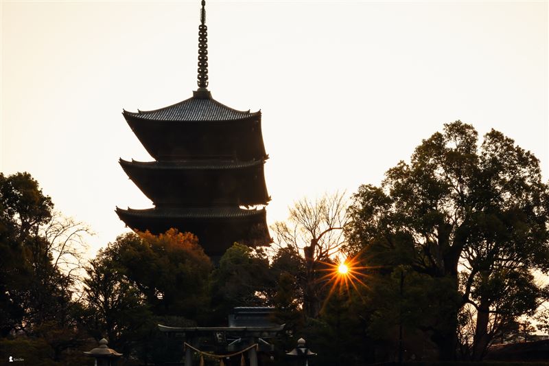 晨曦初露,朝陽在五重塔旁露臉,靜謐的東寺境內正漸漸甦醒