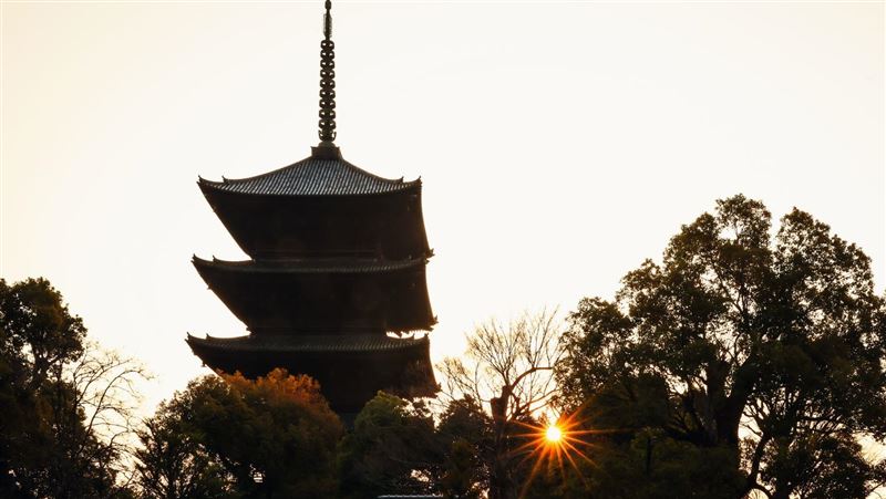京都尋味記：深度開箱星野集團三間OMO