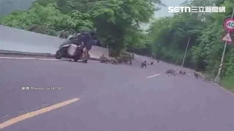 阿伯的機車腳踏墊上疑似載著食物餵猴子,目測超過20隻獼猴聚集。(圖/翻攝自Threads @ov387387)