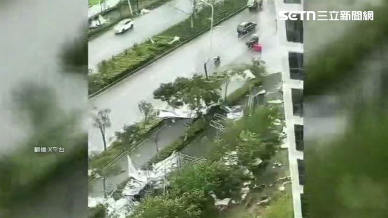 白海豚強襲浙江!高樓外牆「像紙片脫落」