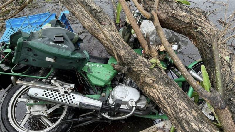 彰化48歲孫姓郵差雨天值勤遭倒塌路樹重壓喪命,孫母怒告公路局,二審獲國賠176萬。(圖/資料照)