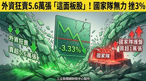 「這檔面板股」獲國家隊護盤　終場仍挫3%