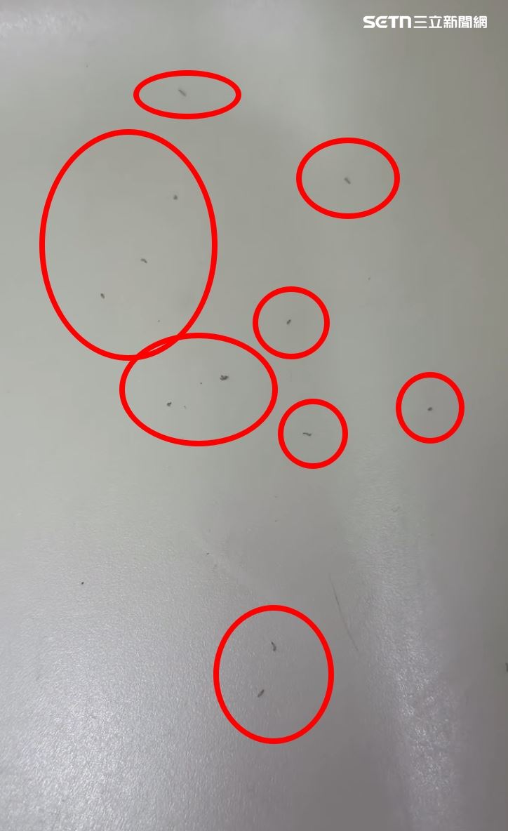 民眾原本準備使用尿布台,沒想到將尿布台打開、準備消毒時,竟看到檯面上有白色小蟲正在蠕動,讓他當場嚇壞。(圖/網友09.ppppp_提供)