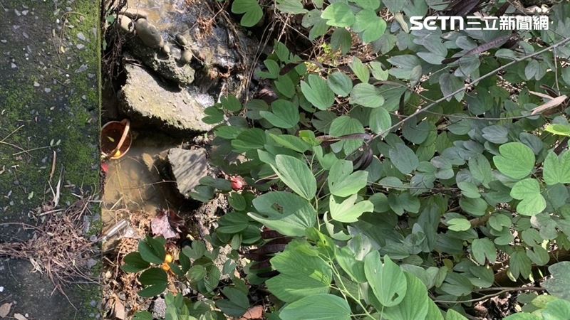 3.65公尺深山溝約一層樓高。（圖／翻攝畫面）
