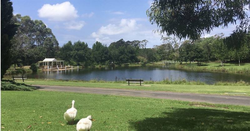 老辜指出,多去公園綠地,讓眼睛接受更多自然光照,能降低近視形成的機會。(示意圖)