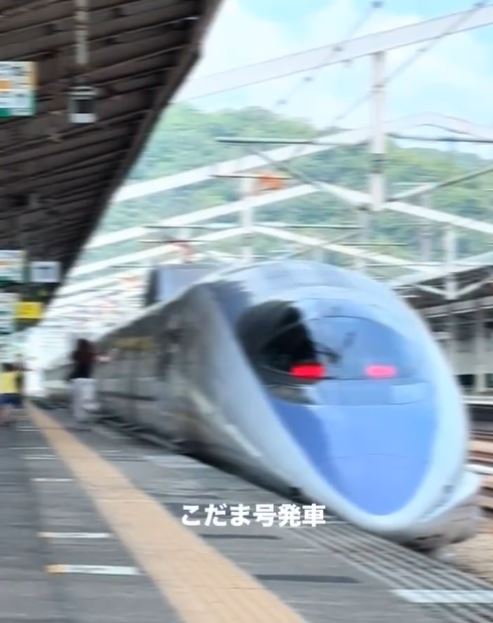 拍照錯過新幹線竟一路追車,日本母子離譜舉動惹議。(圖/翻攝自X平台 @mokumokunomi11)