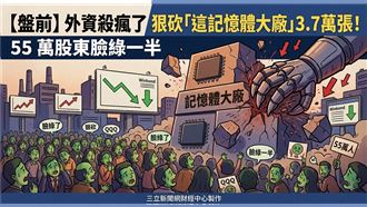 這記憶體大廠遭砍3.7萬張　55萬人臉綠了